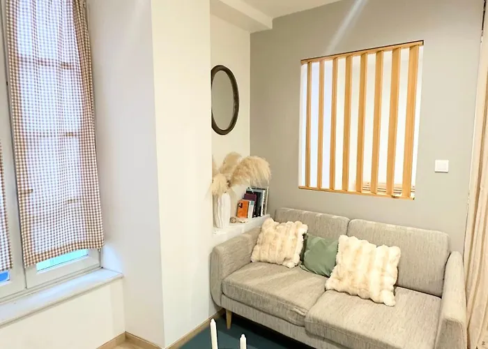 아파트 Le Cabrol Hyper Centre Wifi 1er Etage 로데즈